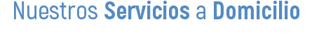 Nuestros Servicios a Domicilio